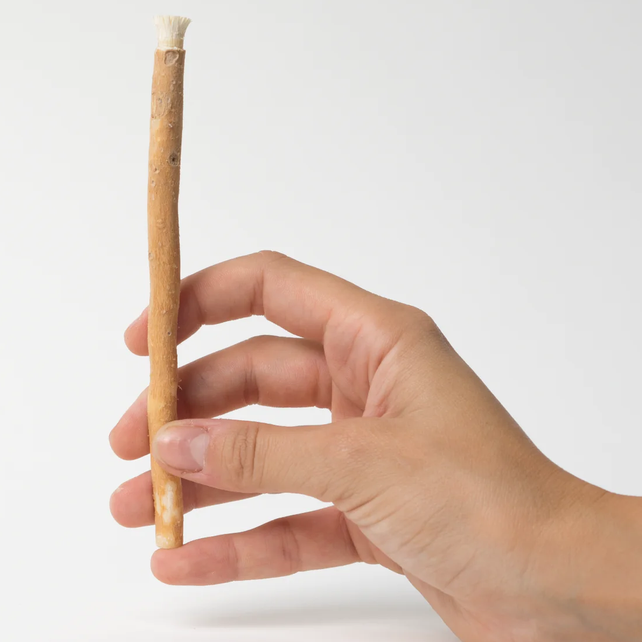 Miswak